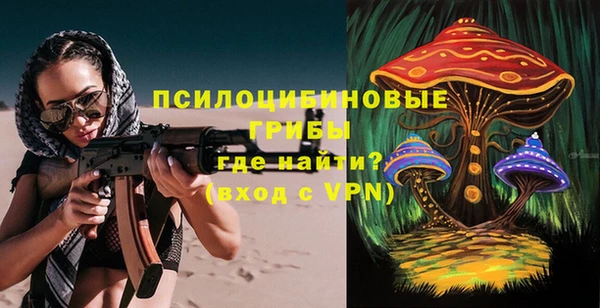 spice Алзамай